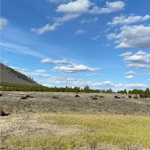 Meet your Posher, Ashlyn